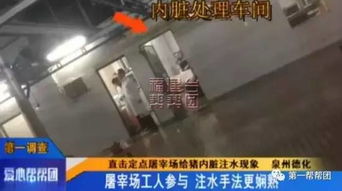 泉州生豬屠宰點曝注水丑聞，農(nóng)副產(chǎn)品安全引擔憂