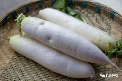 樹生態(tài)農(nóng)業(yè)新形象 理塘縣舉辦生態(tài)農(nóng)產(chǎn)品展銷會助力農(nóng)副產(chǎn)品銷售